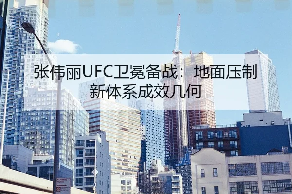 zhang-wei-li-wei-mian-bei-zhan-di-mian-ya-zhi-xin-ti-xi-cheng-xiao-ji-he-2-512.jpg