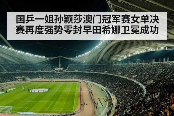 sports stadium crowd