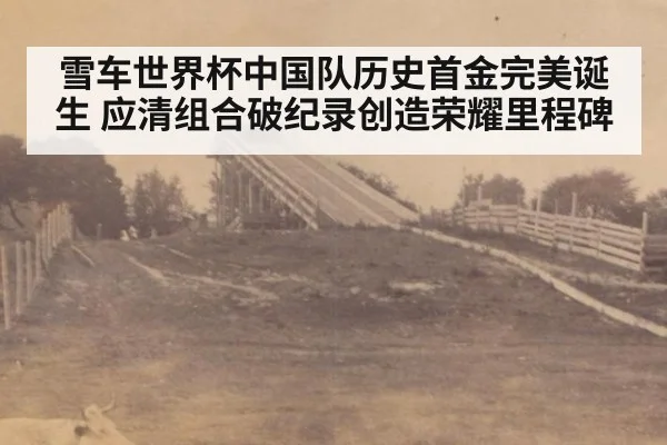 雪车世界杯中国队历史首金完美诞生 应清组合破纪录创造荣耀里程碑